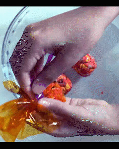 seedball.gif