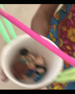 zipline.gif